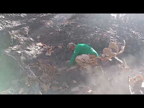 Inicia Gobierno de Tlajomulco la instalación de oasis en zona afectada por incendio