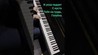 М. Боярский. Ланфрен-ланфра #pianocover + караоке #ysatikv