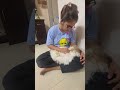 Mumma’s unconditional love❤️..#dogshorts #pets #shihtzu #petlover #happiness #puppy #cute🤗🤗