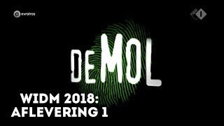 Wie is de Mol 2018