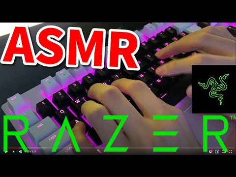 【ASMR】キーボードタイピング音フェチ(紫/青軸) Razer Huntsman Mercury White【4K】 Typing Keyboard Sounds(No Talking)타이핑/键盘