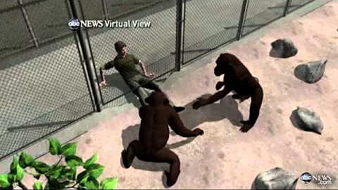 Chimp Attacks Texas Student: Andrew Oberle Fightin...