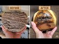 You Won't Believe What's Under This Bark