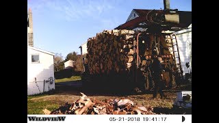 Firewood 2018. Wood delivery. 10 cords. screenshot 5