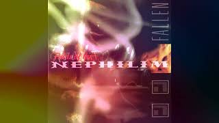 Fields Of The Nephilim - Darkcell AD (2002) [Fallen Album] - Dgthco