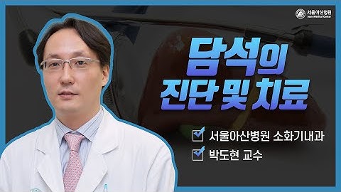 담석의 진단 및 치료