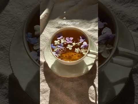 أي القصيد إليك أمي أنظم 