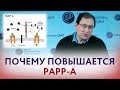 Повышен PAPP-A. Что значит, если повышен ПАПП-А? Отвечает Гузов И.И.