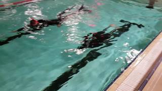 DNF 80 meters