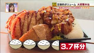 メガ盛り大将軍弁当