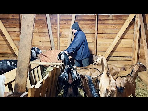 ПОДРАЛИСЬ С ЖЕНОЙ