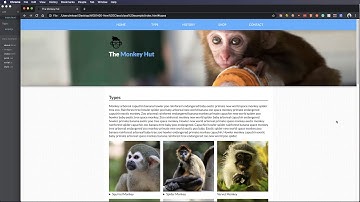 jQuery Selectors