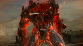 Standing Here, I Realize That Raiden Is Suffering From Brain Hemorrhage