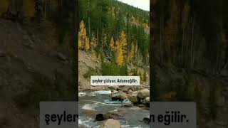 Cenneti o kadar ucuz mu zannettin? #dinivideolar #dinihikaye #viralvideo #ibretlik #cennet # #keşfet