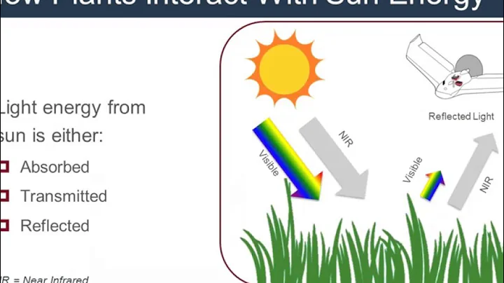 Precision Agriculture in the Drone Age