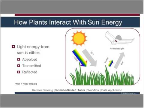 Precision Agriculture in the Drone Age