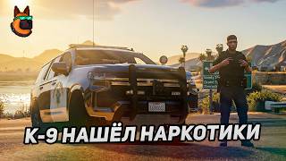 РЕАЛЬНАЯ РАБОТА K-9: НАРКОТИКИ, ПОГОНИ И ЖЁСТКИЕ ЗАДЕРЖАНИЯ — GTA 5 RP