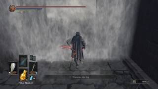 DARK SOULS 3 Ancient Wyvern Cheese