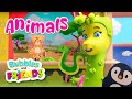 Lets explore the world of animals with bubbles and friends  full episode  song for kids