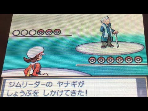 最も共有された ポケモン Hgss ライバル 手持ち 壁紙引用画像hd