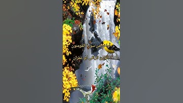 أواخر من سورة المومنون  القارئ الراقى ابو عمران