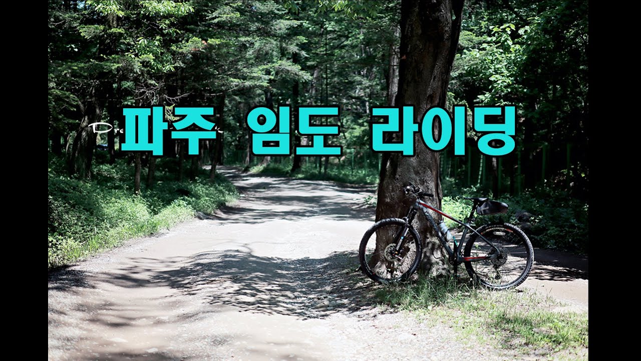 한적한 파주 임도 라이딩