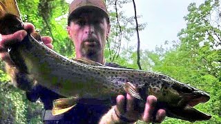 bfs trout fishing with glidebait, jerkbait and spinner (big brown) #troutfishing #bfs #browntrout