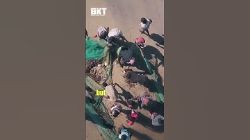 Mozambique - Things you never knew