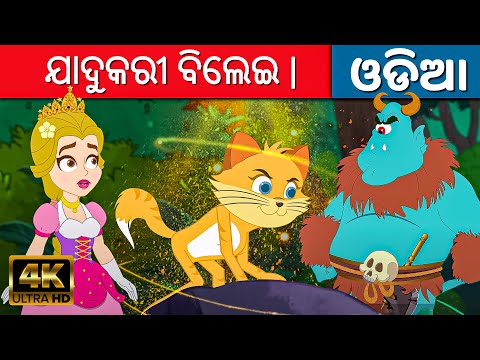 ଯାଦୁକରୀ ବିଲେଇ | Magical Kitty - Odia Gapa | Odia Cartoon | Aaima Kahani | Fairy Tales | Odia Gapa