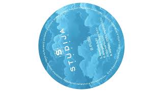 Studija - Mylėjau Myliu Mylėsiu