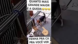 ELE BOTOU O GRANDÃO PRA CORRER