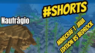 Minecraft: Java Edition VS Windows 10 Edition #Shorts