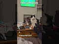 😹 Funny cat reactions 🐾😂