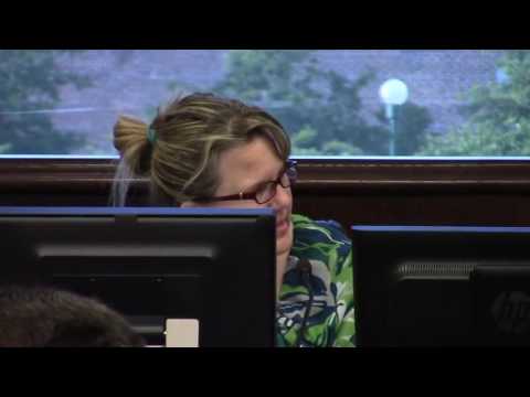 7.c. Declaration of Surplus Items and Authorization of Sale