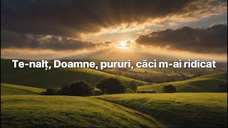 Te-nalț, Doamne, pururi, căci m-ai ridicat (Cover)
