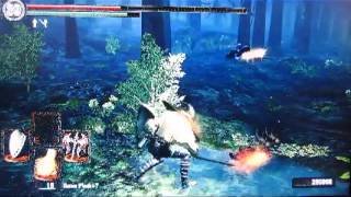 Typical Dark Souls Online Play