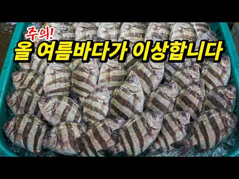 올 여름에 있을 심각한 변화(6월 추천 <strong>수산물</strong>)