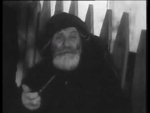 \"რეკორდი\" - ჯოღორიას რეკორდი (rekordi)