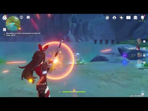 Genshin impact alibi du hero de la nuit (trouvé les fleurs brumeuse)
