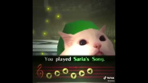 Cat learning saria’s song