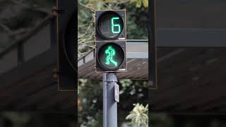 30 Seconds Countdown | Traffic Lights Timer | #shorts #minutes #countdown #timer #silent #shorts
