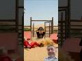 Funny video...Wall Climbing Competition... #social #social #funny #laughter #comedy #wall #climbing