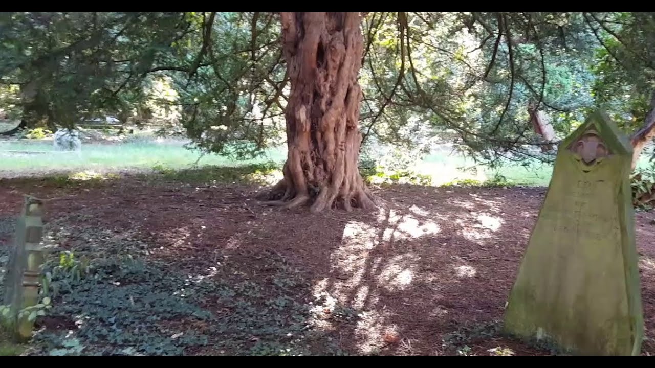 Daytime paranormal investigation at yardley wood cemetery