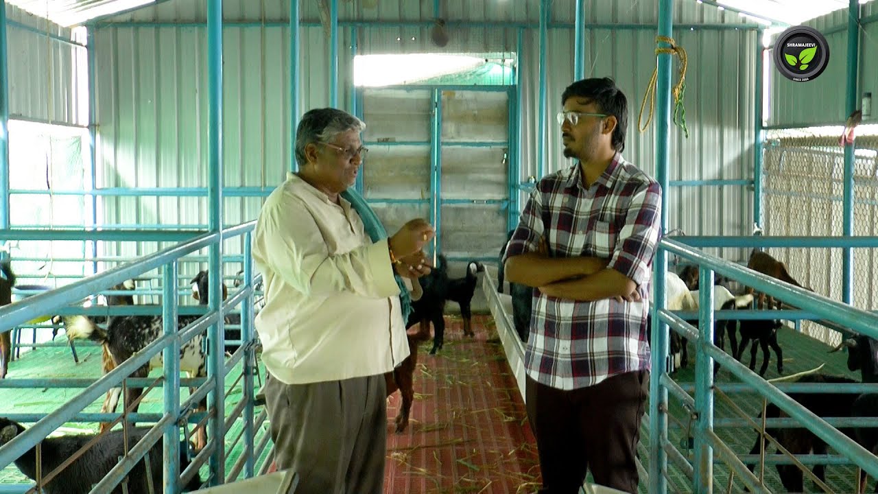 ಮೇಕೆ ವಂಶಾಭಿವೃದ್ಧಿ, ಆಹಾರ, ಔಷಧ ಮತ್ತು ಆರ್ಥಿಕತೆ - ಶ್ರೀ ಕೃಷ್ಣಗೌಡ | Goat Farming | Breeding & Vaccination