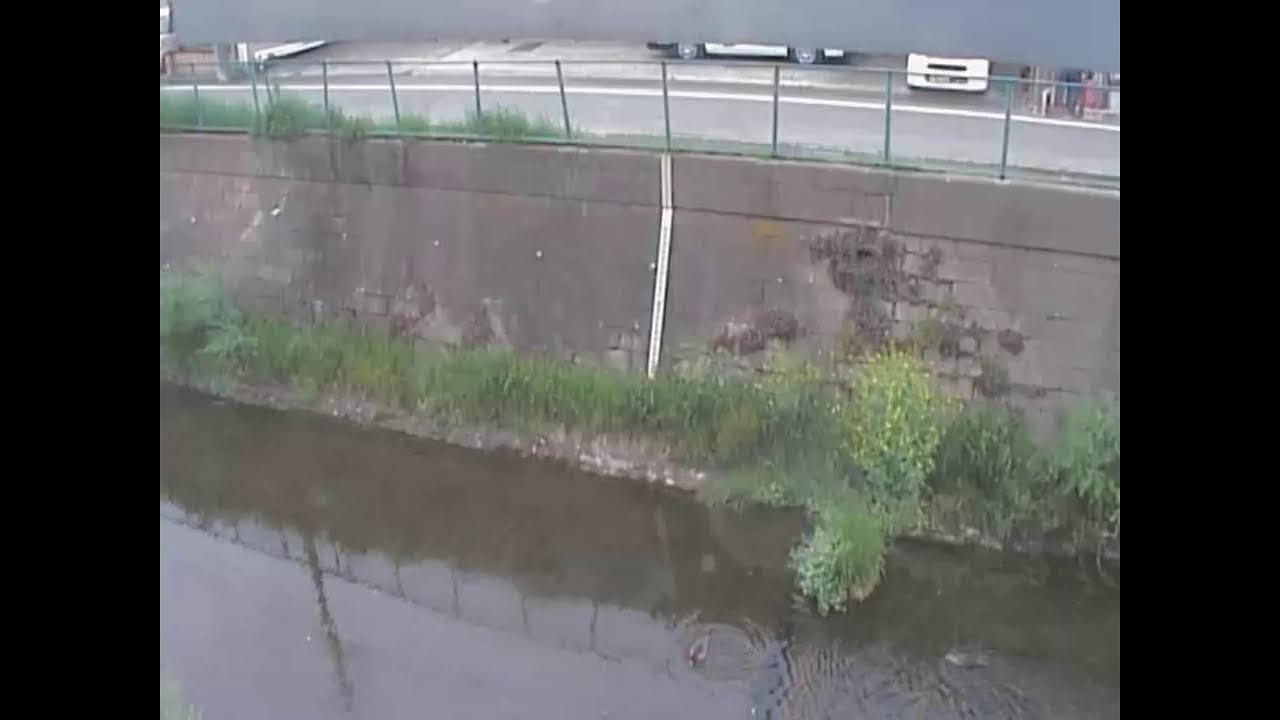 白子川越後山橋ライブカメラ 東京都練馬区土支田 ライブカメラdb