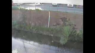 白子川越後山橋ライブカメラ 東京都練馬区土支田 ライブカメラdb