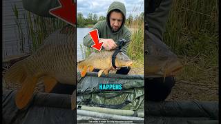 Famous He Attached a Camera on a Fish and Saw This ‼️😱 #trendingshort Net Worth