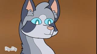 Body Warrior cats Map part 22