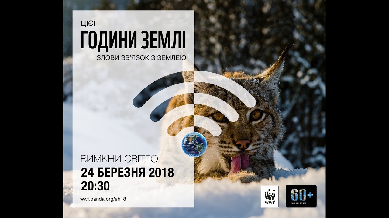 Голос рыси из Карпатских гор. Проект WWF к Часу земли