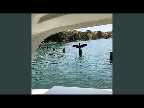 Sakaeta machi no (Live) - YouTube